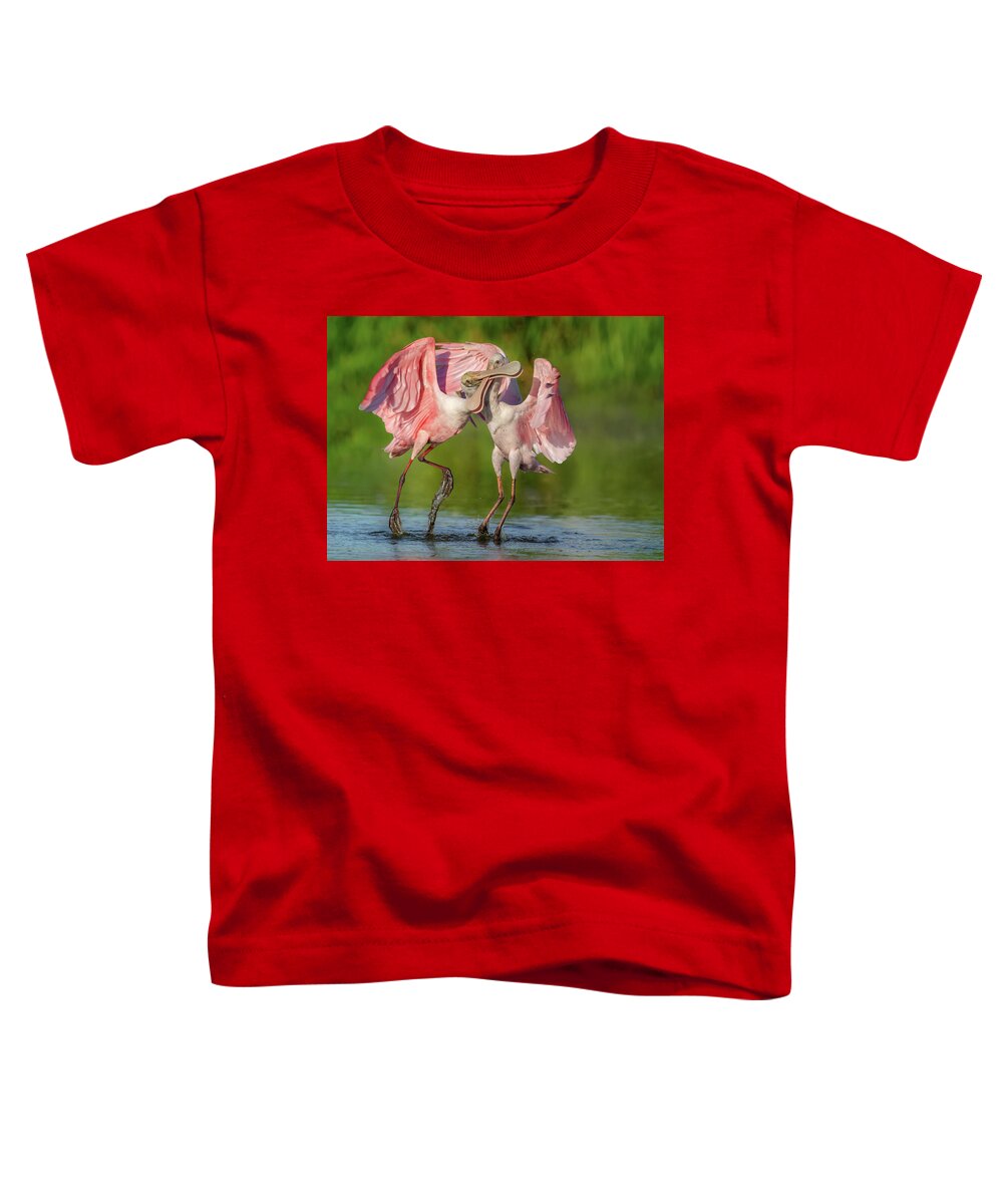Duel at Dawn - Toddler T-Shirt