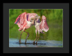 Duel at Dawn - Framed Print