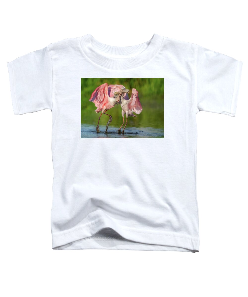 Duel at Dawn - Toddler T-Shirt