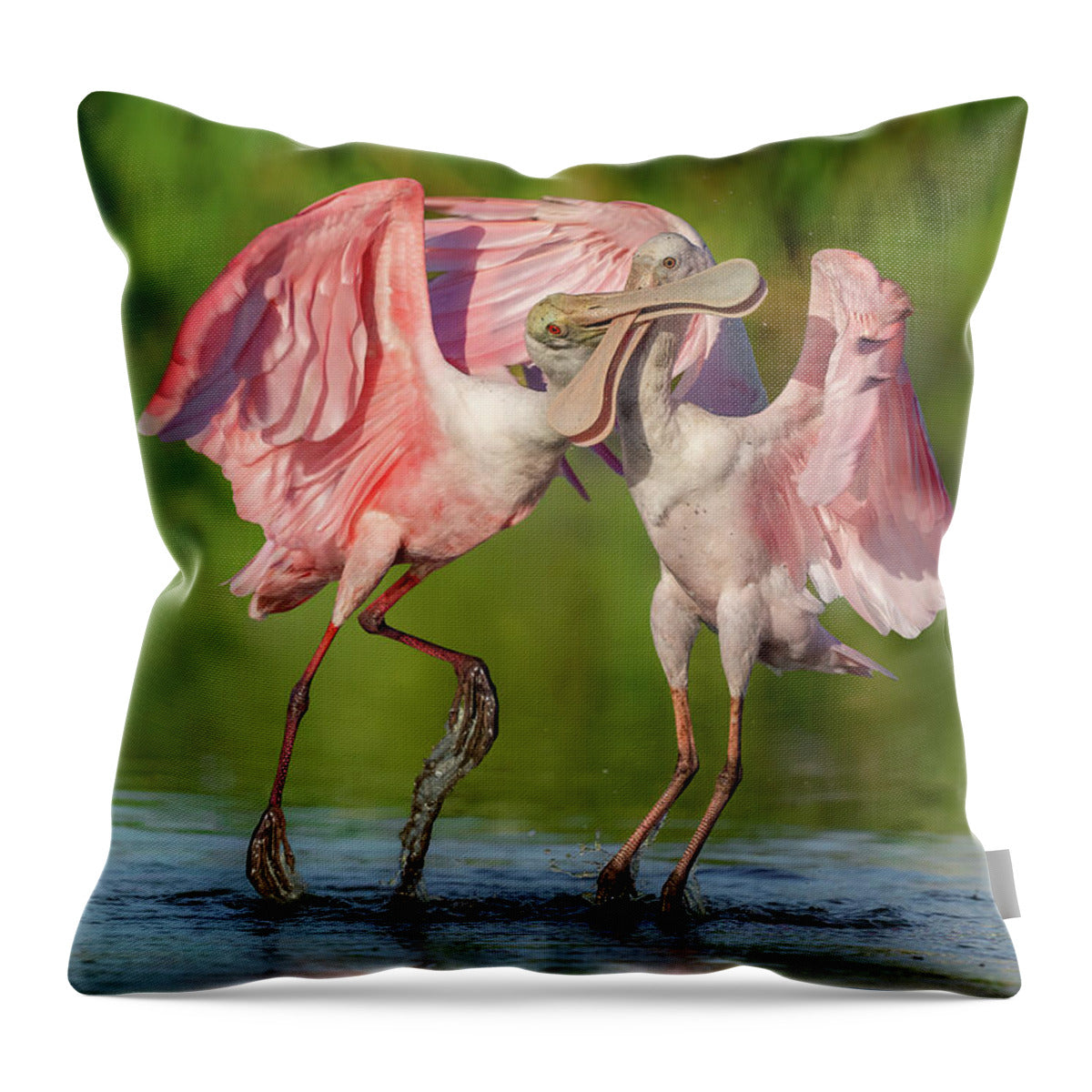 Duel at Dawn - Throw Pillow