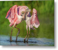 Duel at Dawn - Metal Print