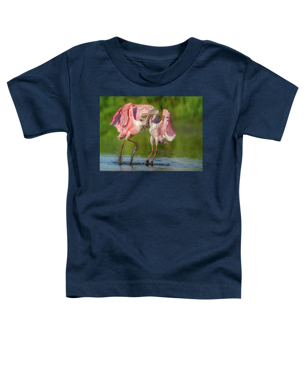 Duel at Dawn - Toddler T-Shirt