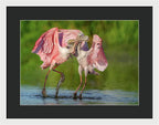 Duel at Dawn - Framed Print