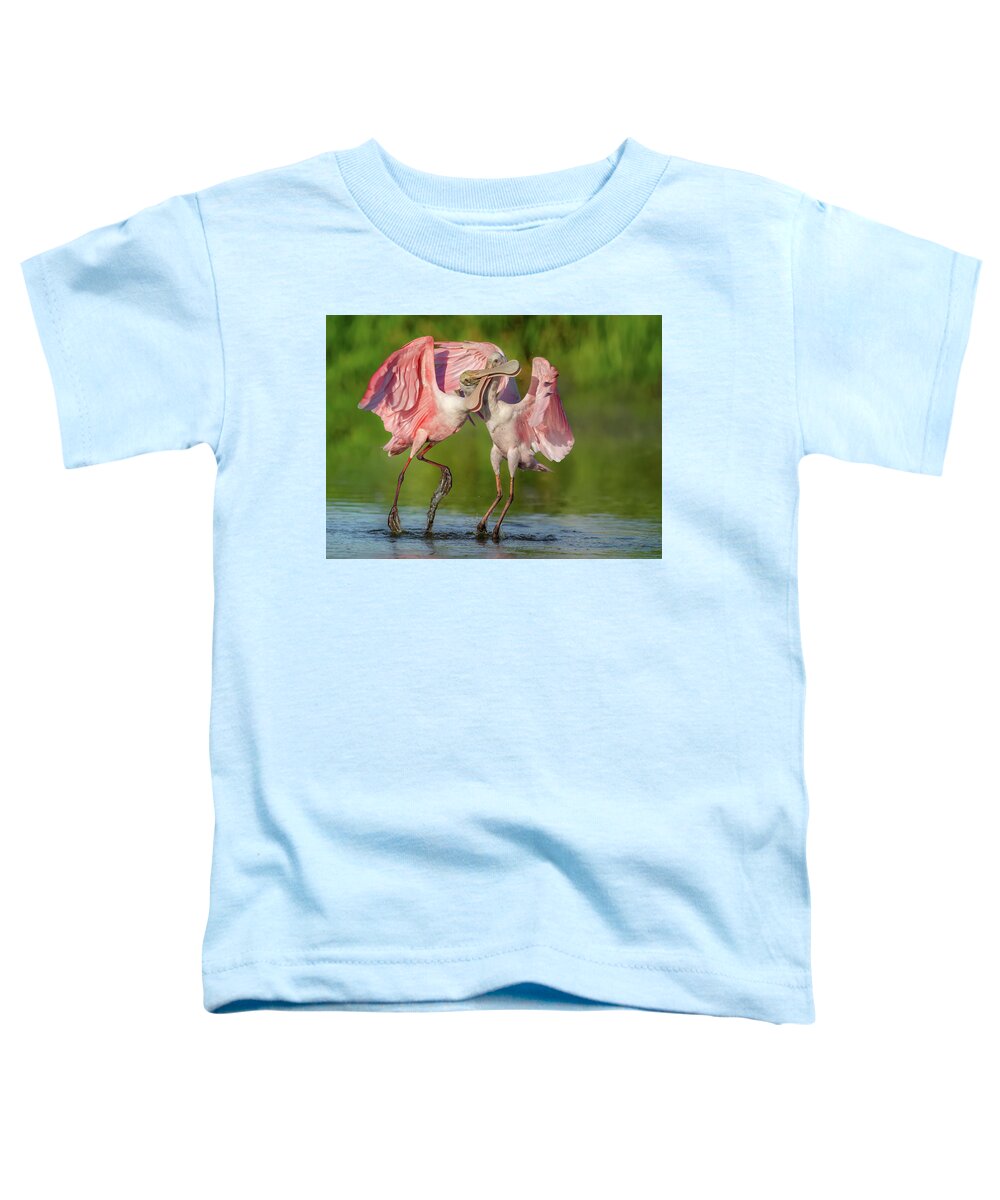 Duel at Dawn - Toddler T-Shirt