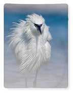 Elegant White Egret in Water - Blanket