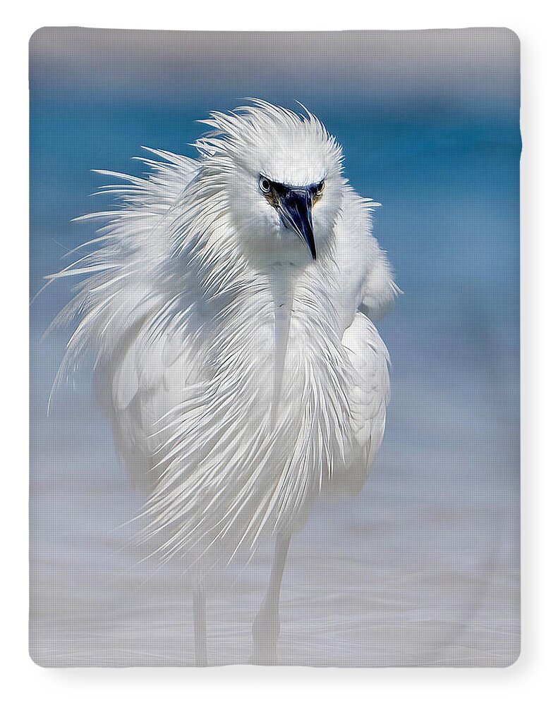 Elegant White Egret in Water - Blanket