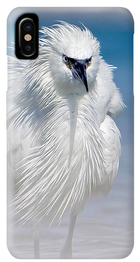 Elegant White Egret in Water - Phone Case