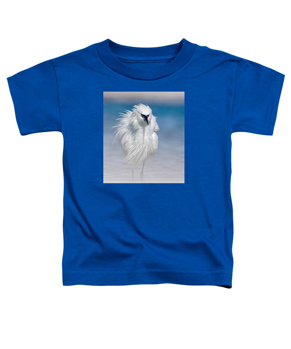 Elegant White Egret in Water - Toddler T-Shirt