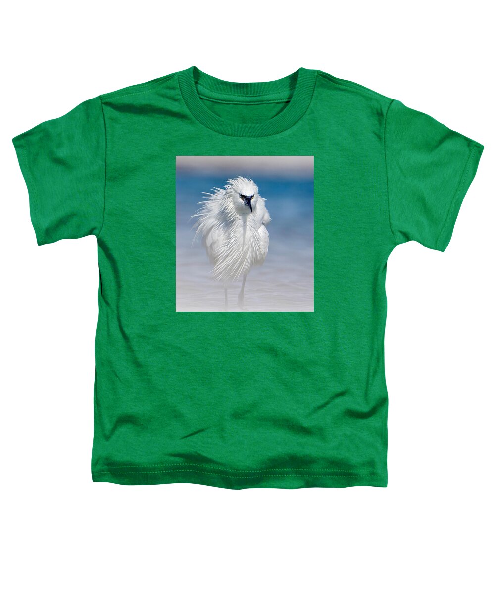 Elegant White Egret in Water - Toddler T-Shirt
