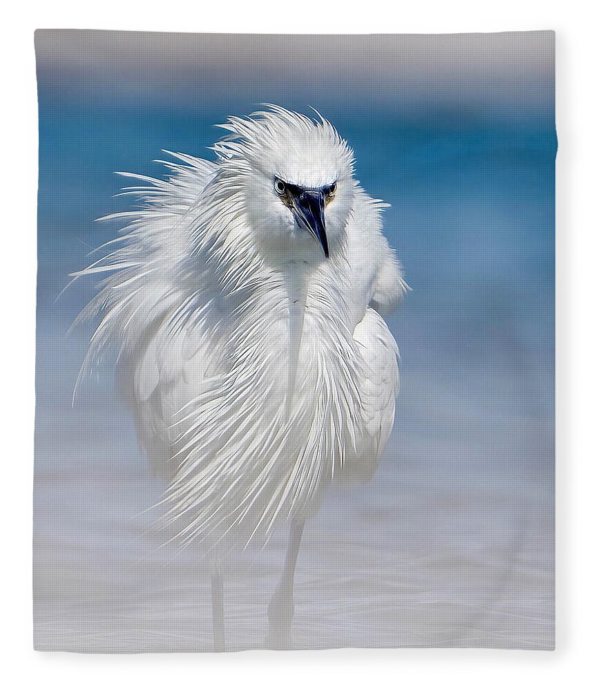 Elegant White Egret in Water - Blanket