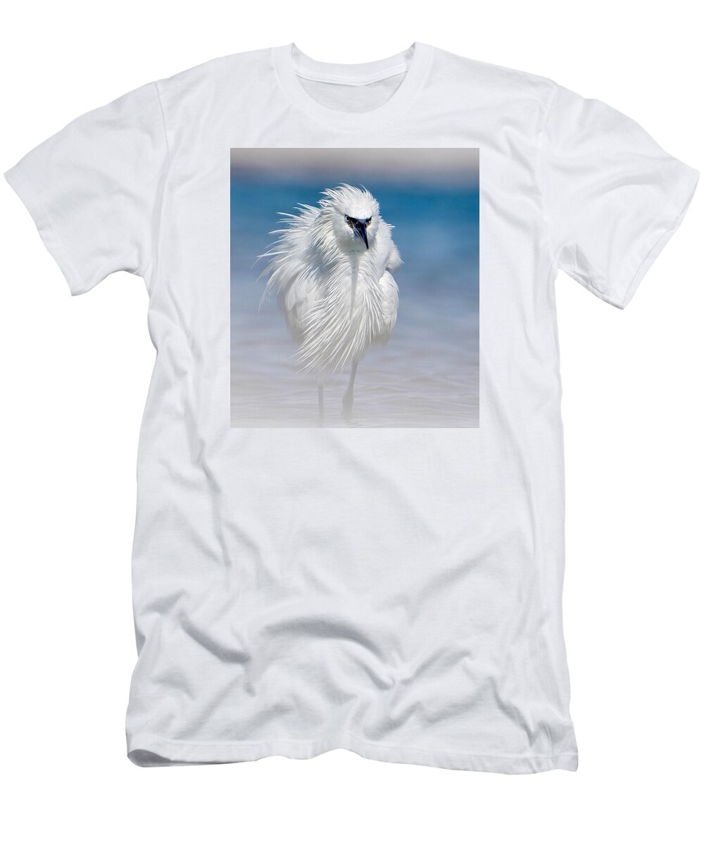 Elegant White Egret in Water - T-Shirt