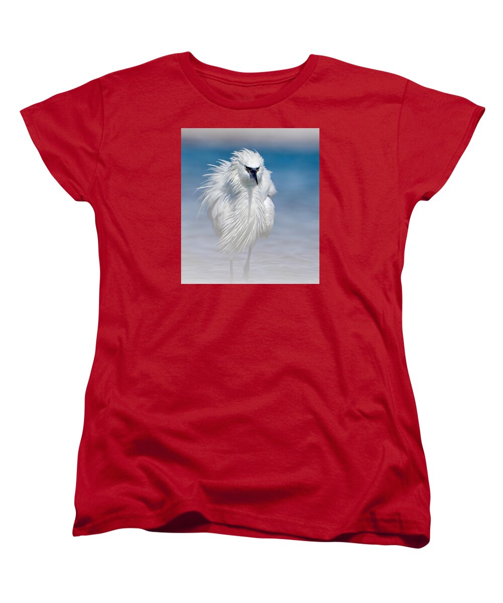 Elegant White Egret in Water - Women's T-Shirt (Standard Fit)