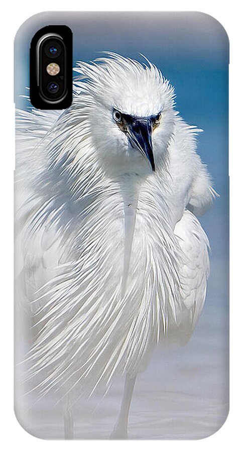 Elegant White Egret in Water - Phone Case