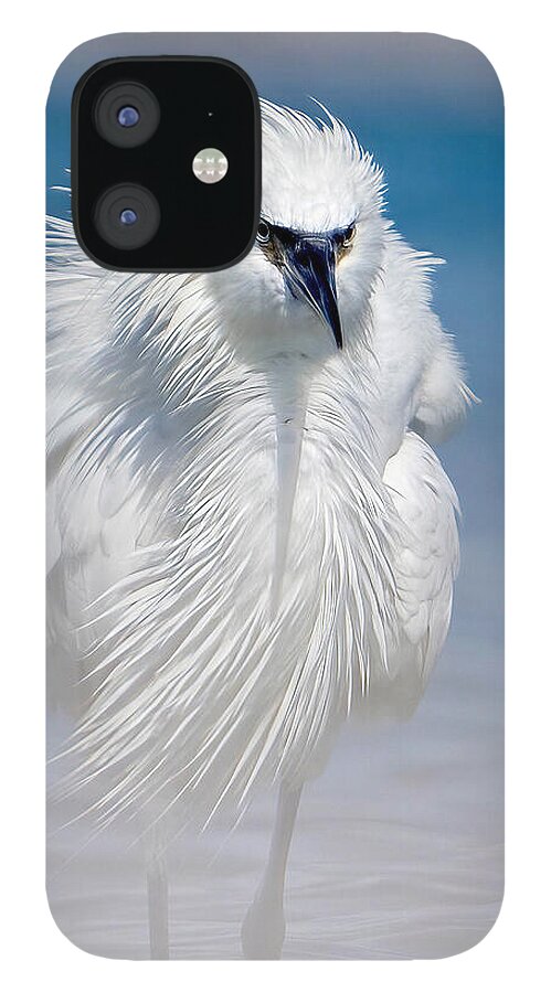 Elegant White Egret in Water - Phone Case