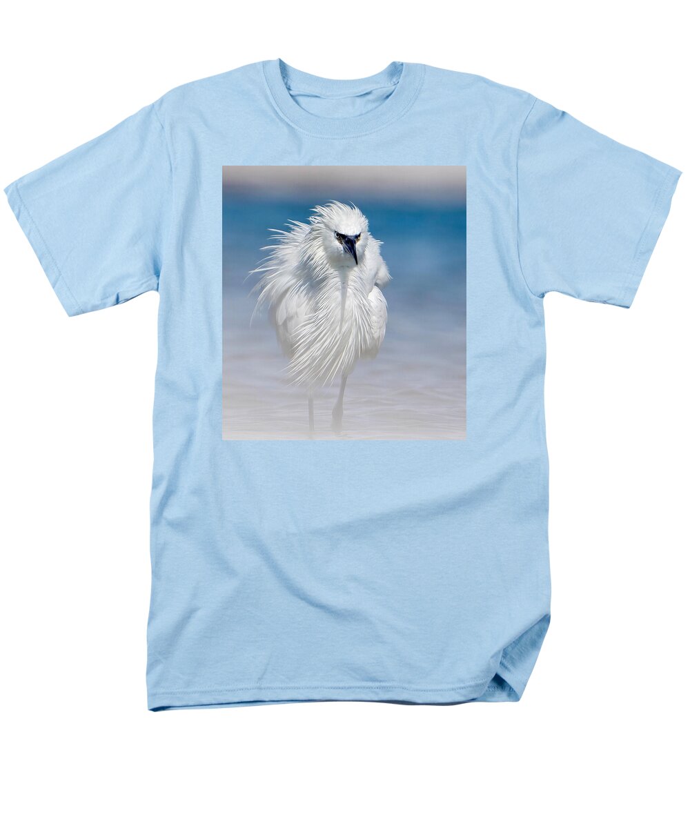 Elegant White Egret in Water - Men's T-Shirt  (Regular Fit)