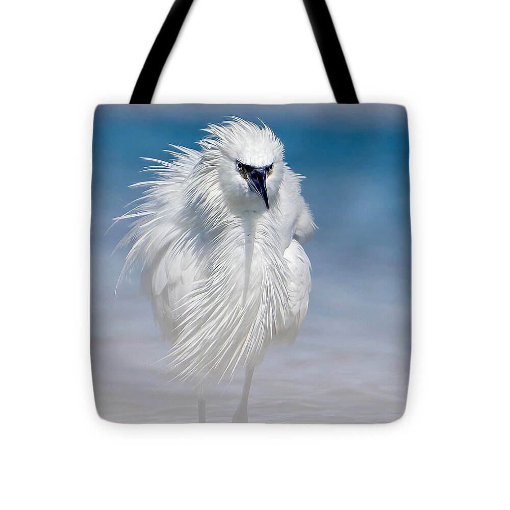 Elegant White Egret in Water - Tote Bag