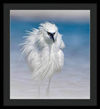 Elegant White Egret in Water - Framed Print