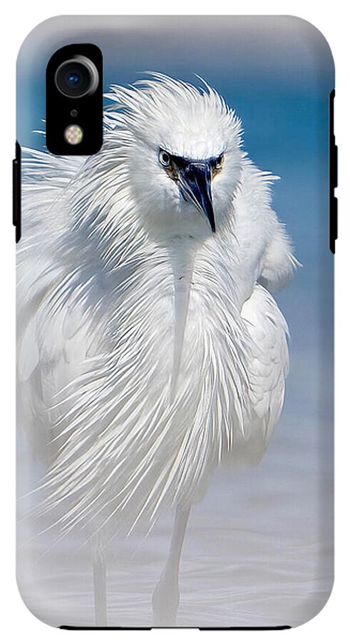 Elegant White Egret in Water - Phone Case