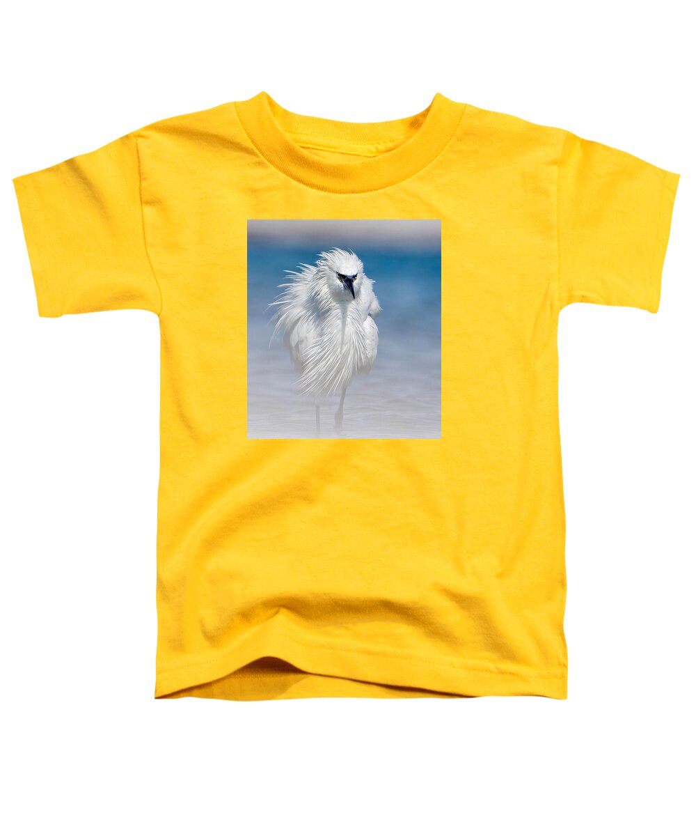 Elegant White Egret in Water - Toddler T-Shirt