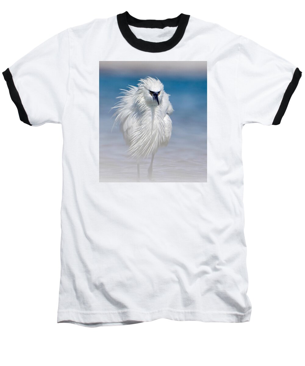 Elegant White Egret in Water - Baseball T-Shirt