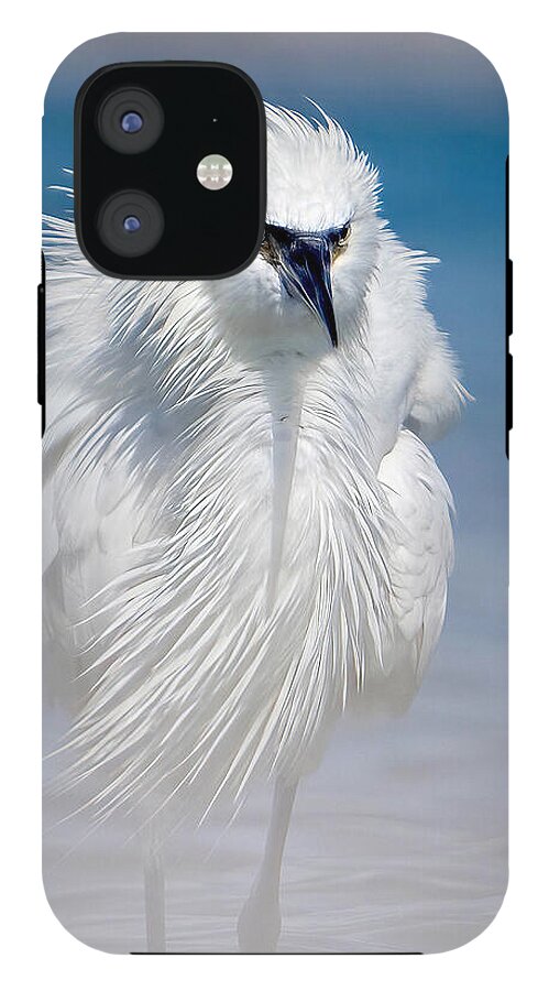 Elegant White Egret in Water - Phone Case