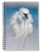 Elegant White Egret in Water - Spiral Notebook
