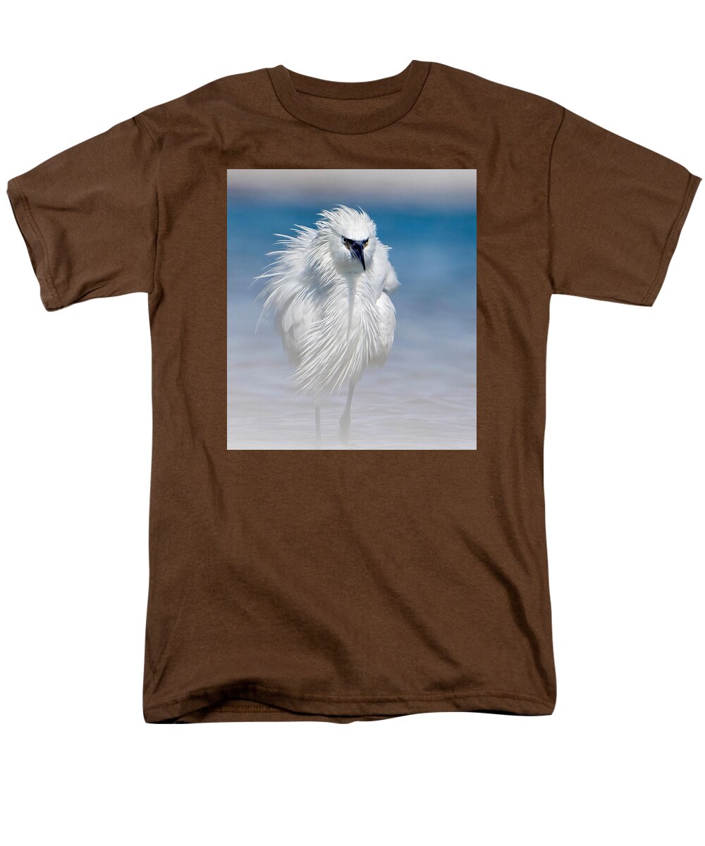 Elegant White Egret in Water - Men's T-Shirt  (Regular Fit)