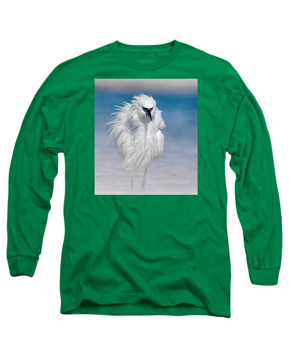Elegant White Egret in Water - Long Sleeve T-Shirt