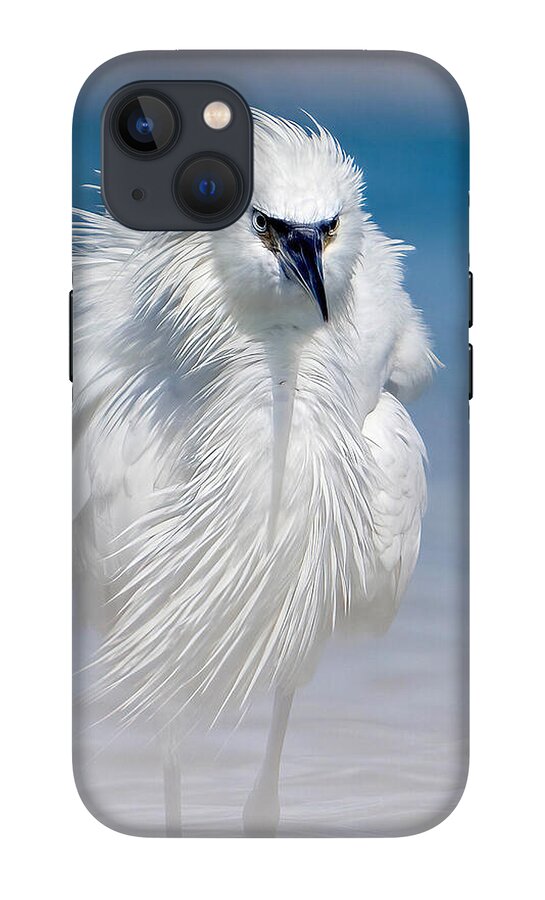 Elegant White Egret in Water - Phone Case