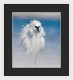 Elegant White Egret in Water - Framed Print