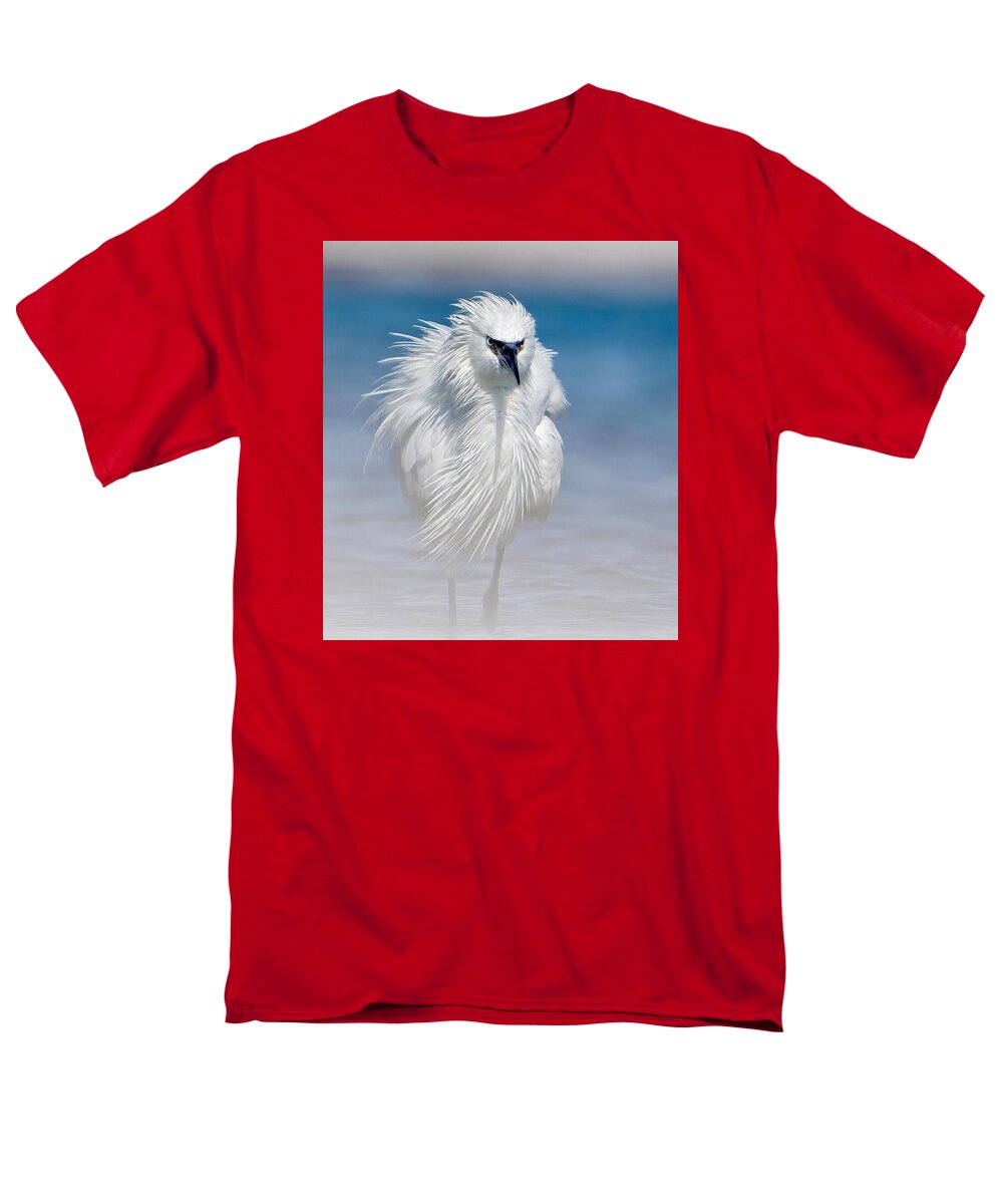 Elegant White Egret in Water - Men's T-Shirt  (Regular Fit)