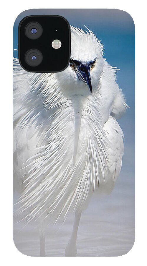Elegant White Egret in Water - Phone Case