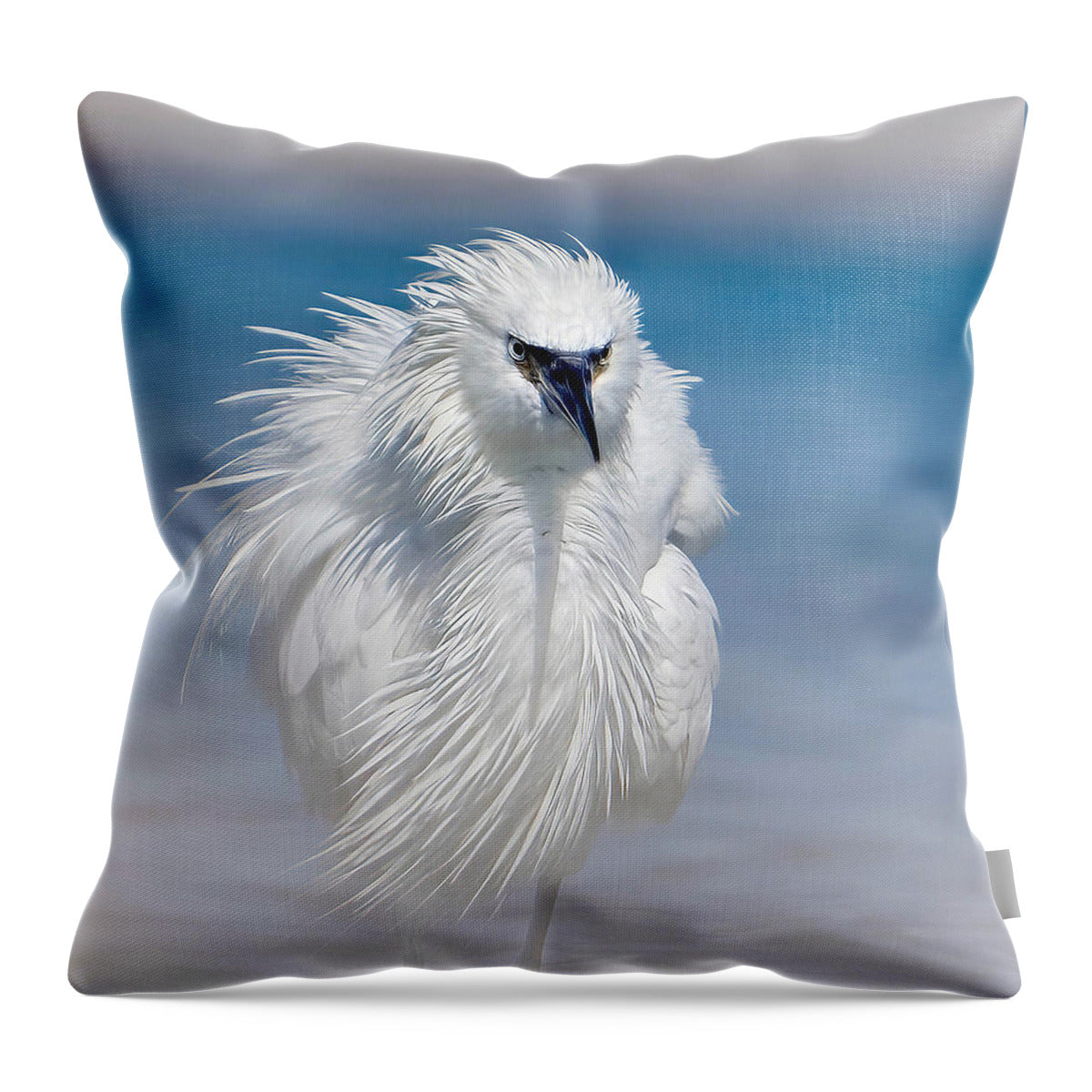 Elegant White Egret in Water - Throw Pillow