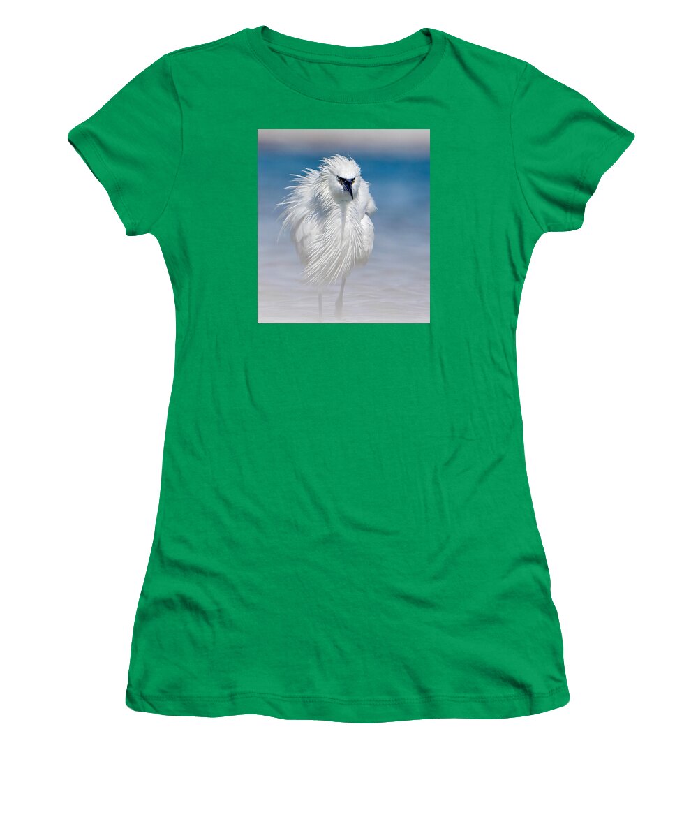 Elegant White Egret in Water - Women's T-Shirt