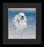 Elegant White Egret in Water - Framed Print