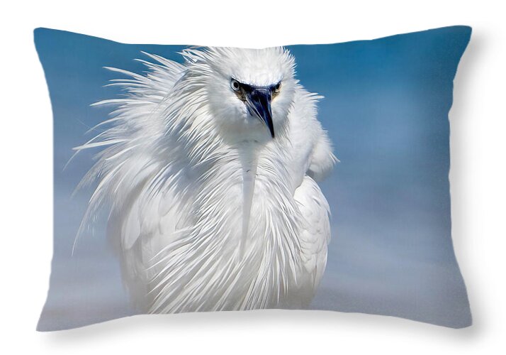 Elegant White Egret in Water - Throw Pillow