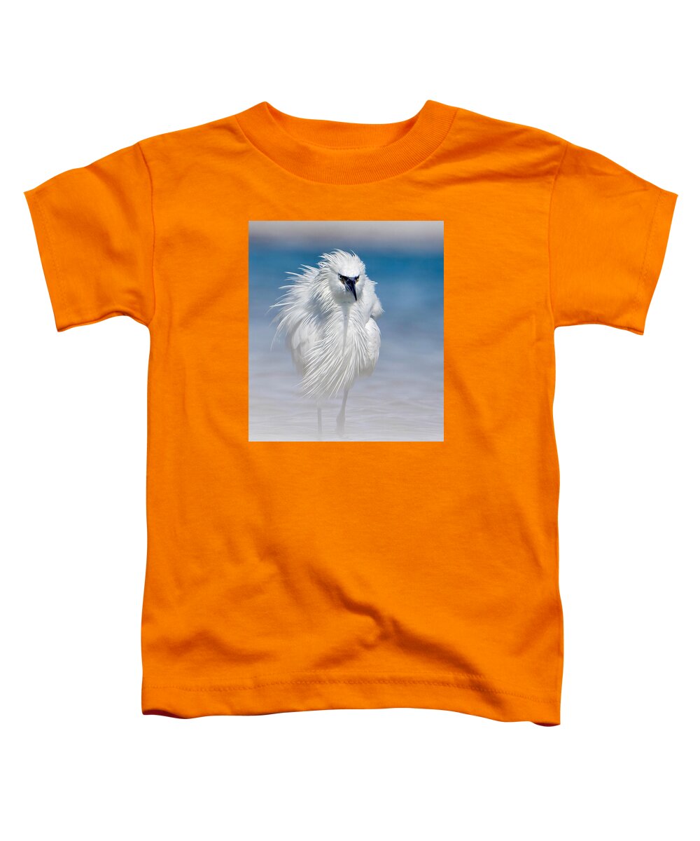 Elegant White Egret in Water - Toddler T-Shirt