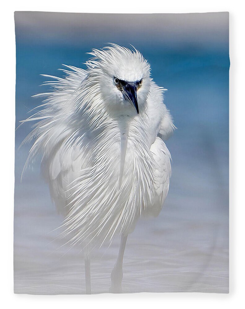 Elegant White Egret in Water - Blanket