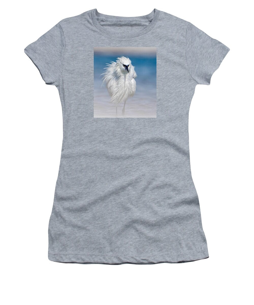 Elegant White Egret in Water - Women's T-Shirt