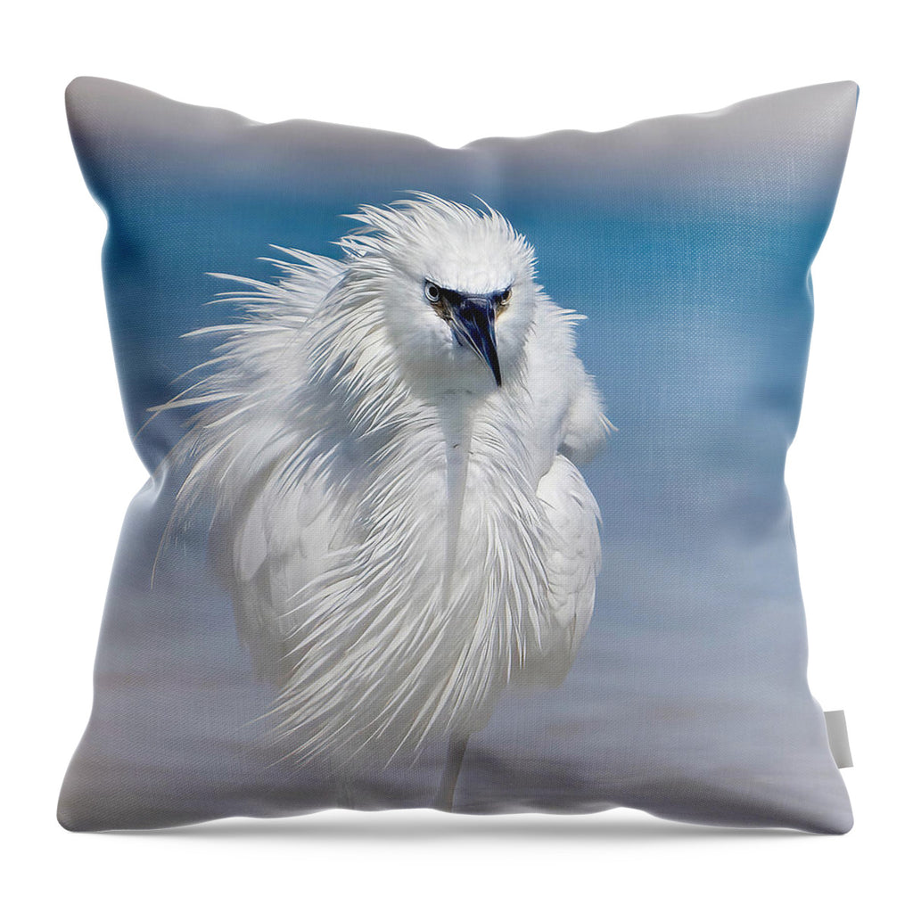 Elegant White Egret in Water - Throw Pillow