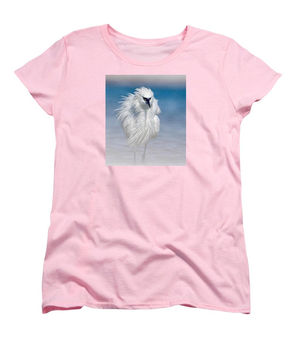 Elegant White Egret in Water - Women's T-Shirt (Standard Fit)