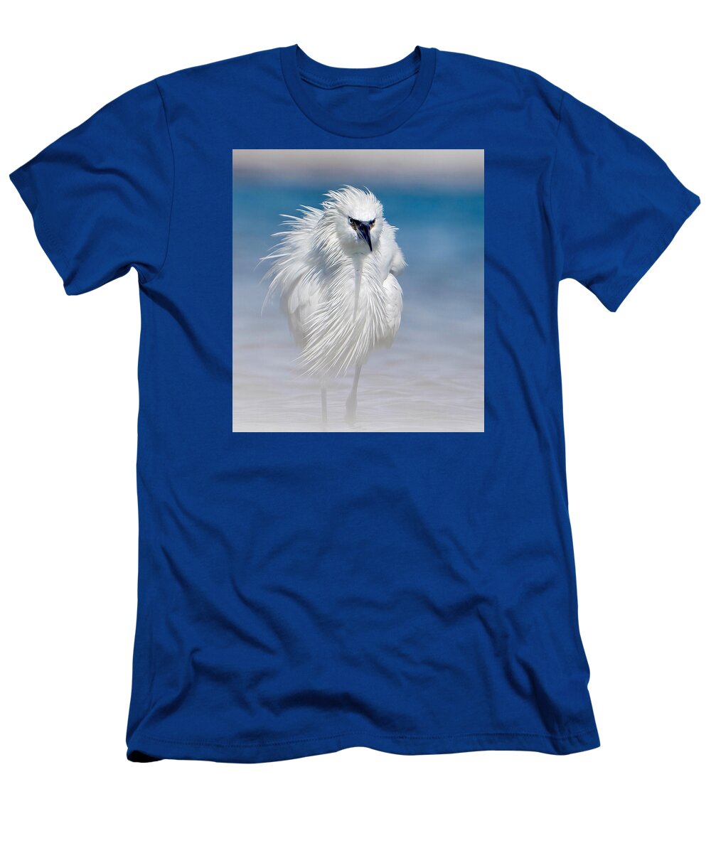 Elegant White Egret in Water - T-Shirt