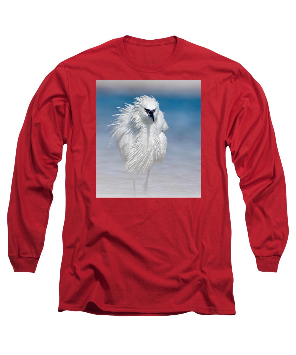 Elegant White Egret in Water - Long Sleeve T-Shirt