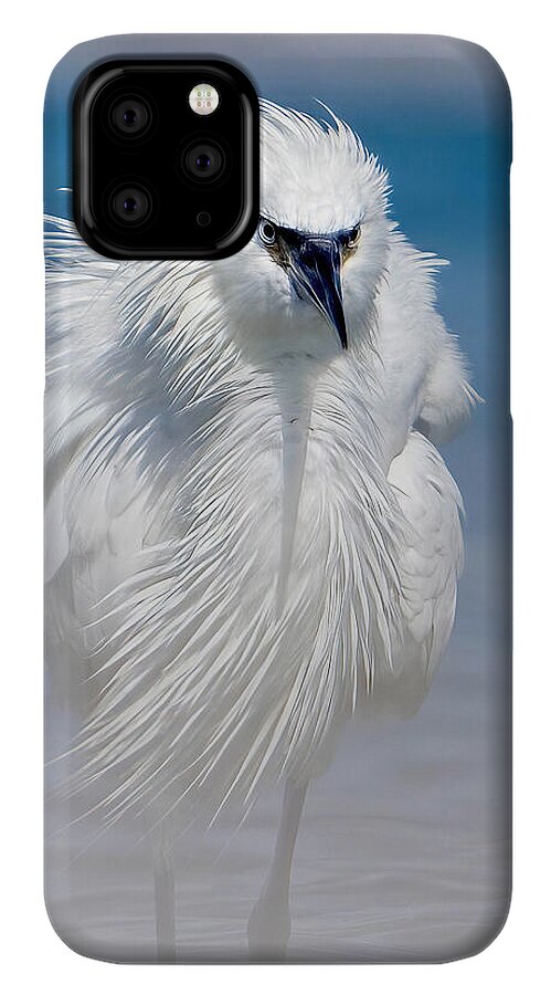 Elegant White Egret in Water - Phone Case