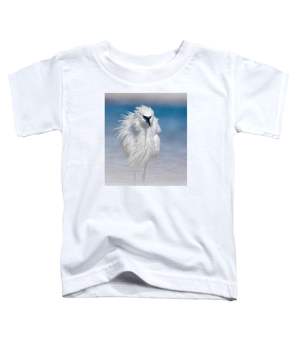 Elegant White Egret in Water - Toddler T-Shirt