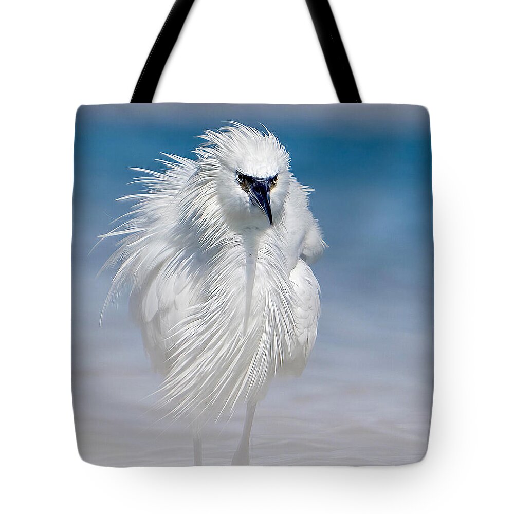 Elegant White Egret in Water - Tote Bag