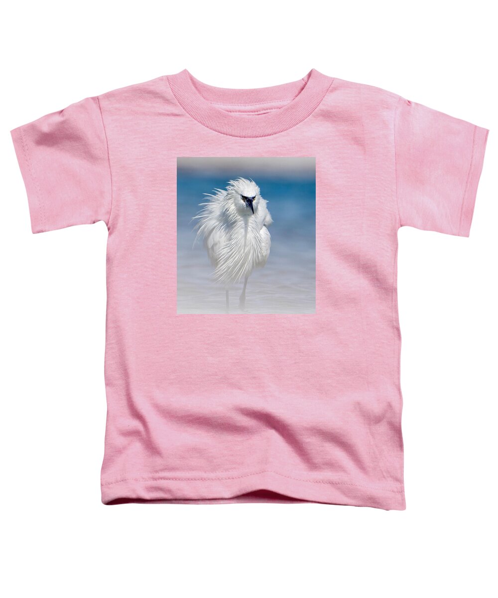 Elegant White Egret in Water - Toddler T-Shirt