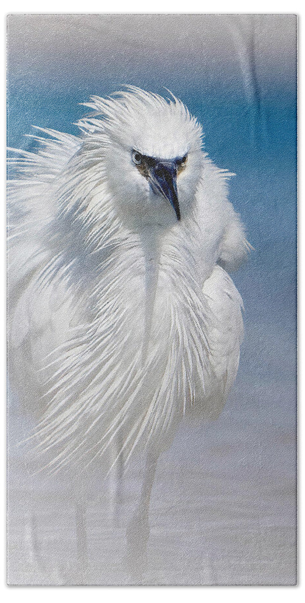 Elegant White Egret in Water - Bath Towel