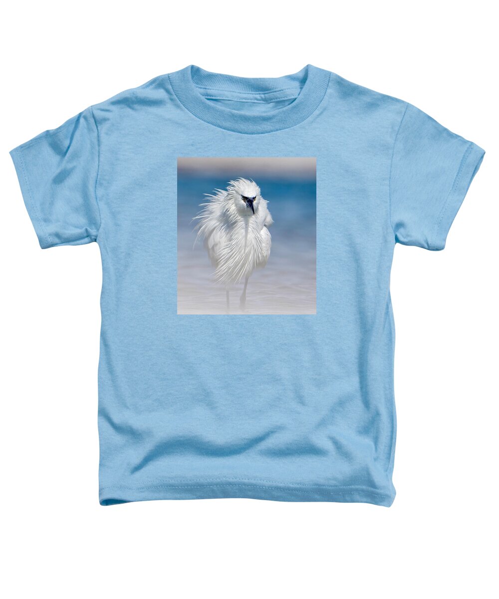Elegant White Egret in Water - Toddler T-Shirt
