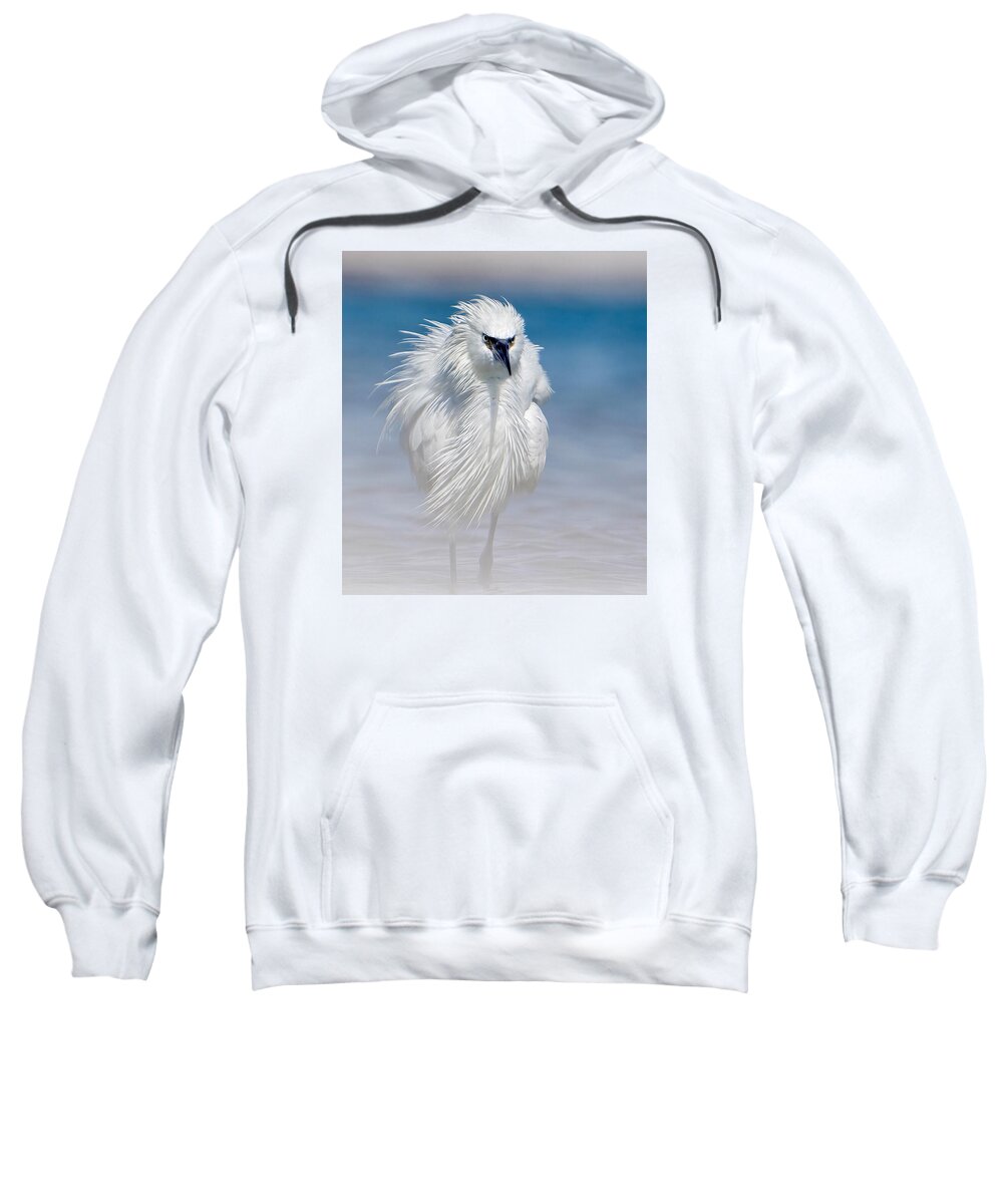 Elegant White Egret in Water - Sweatshirt